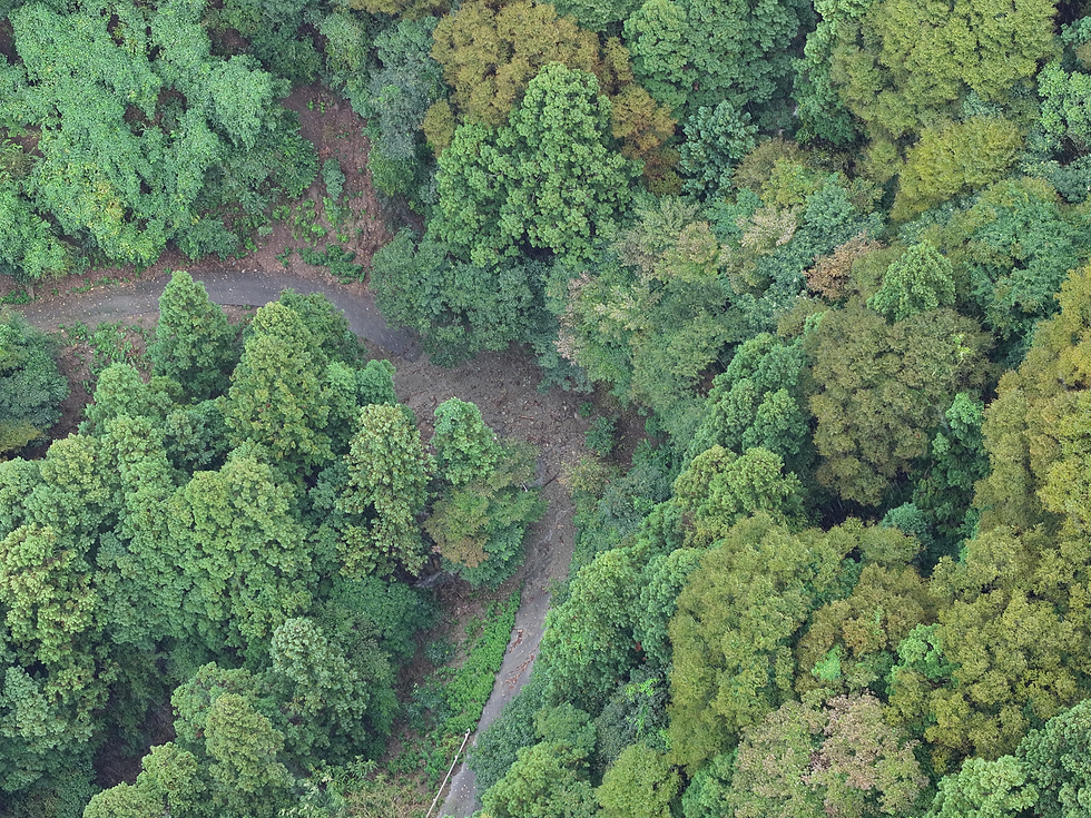 9月3日の林道確認で撮影。カーブ付近で土砂が道路を塞いでいる状況を確認しました。