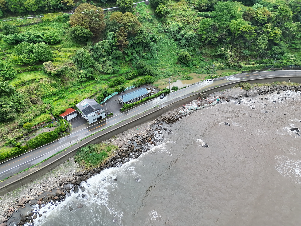水が溜まった区間を車両が通行する様子。当時の道路状況を把握する判断材料となりました。