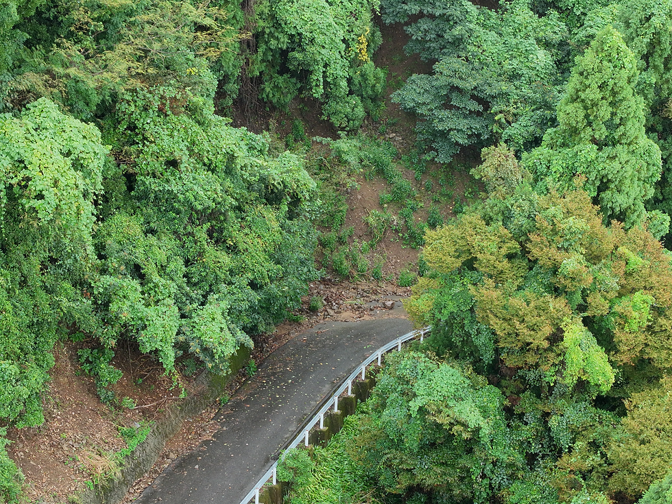 別の箇所でも、斜面から崩れた土砂や岩が路面に到達している様子を確認しました。