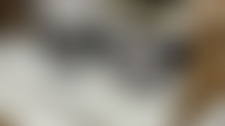 VIVE Eagleを体験して見えた、XR運用管理の次の可能性